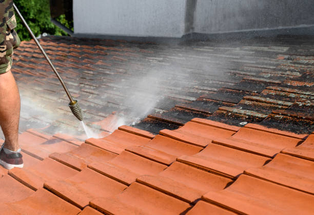 Best Best Pressure Washing Companies  in Parkland, WA