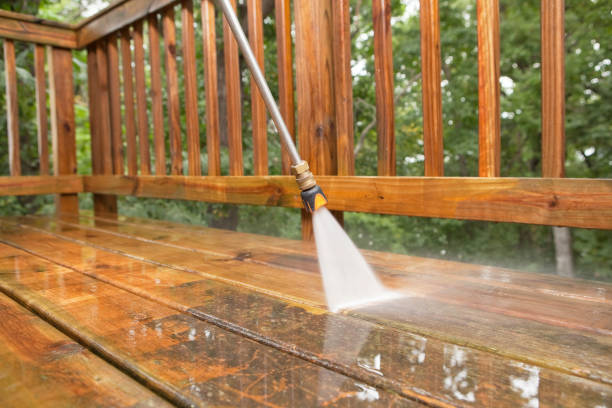 Best Local Pressure Washing Services  in Parkland, WA