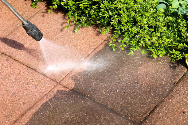Fence Pressure Washing in Parkland, WA